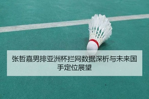 张哲嘉男排亚洲杯拦网数据深析与未来国手定位展望